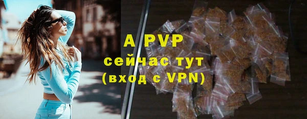 дживик Гусев
