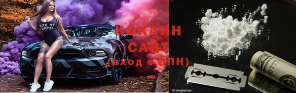 дживик Гусев