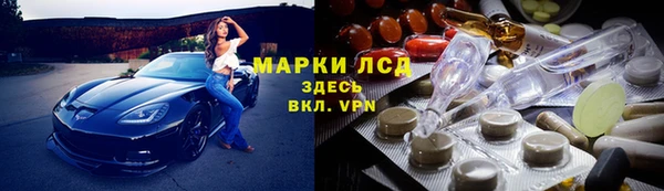 дживик Гусев