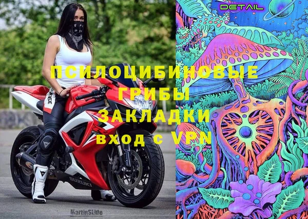 ГАЛЛЮЦИНОГЕННЫЕ ГРИБЫ Гусь-Хрустальный