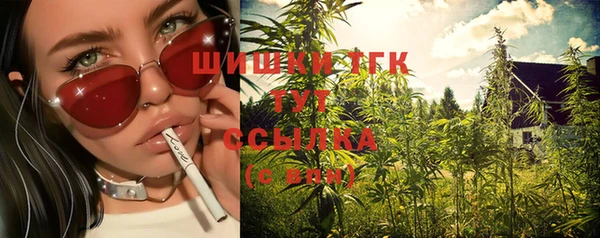 ГАЛЛЮЦИНОГЕННЫЕ ГРИБЫ Гусь-Хрустальный