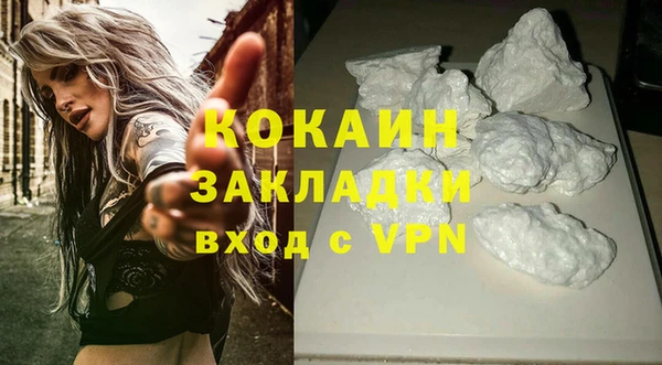 ГАЛЛЮЦИНОГЕННЫЕ ГРИБЫ Гусь-Хрустальный