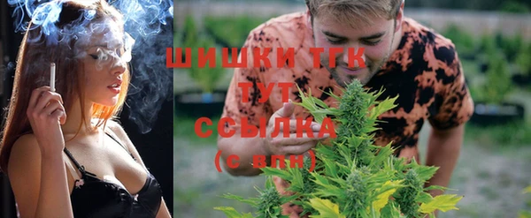дживик Гусев