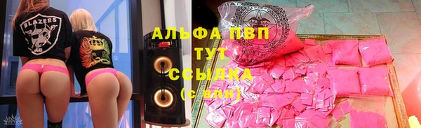 винт Гусиноозёрск